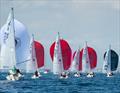 Lipton Challenge Cup 2025 &copy; Royal Cape Yacht Club