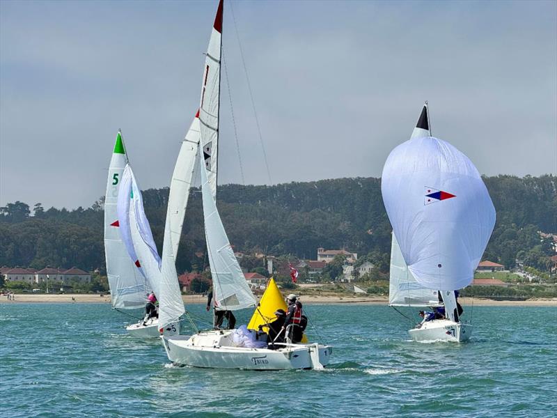 SAILING Champions League at St. Francis Yacht Club photo copyright Gerard Sheridan taken at St. Francis Yacht Club and featuring the J/22 class