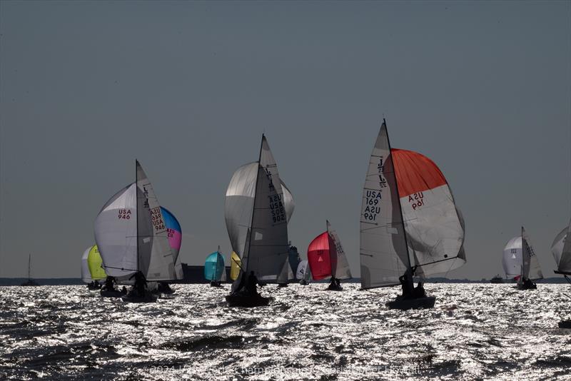 2024 J/22 World Championship photo copyright Christopher Howell taken at Eastport Yacht Club and featuring the J/22 class