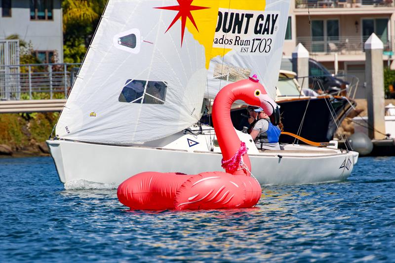 2025 Women's Winter Invitational Regatta photo copyright Bronny Daniels taken at San Diego Yacht Club and featuring the J/22 class