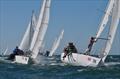 J/24 Europeans at Crouesty © YC du Crouesty Arzon