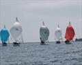 J/24 UK Nationals at Plymouth © Lorna Graham