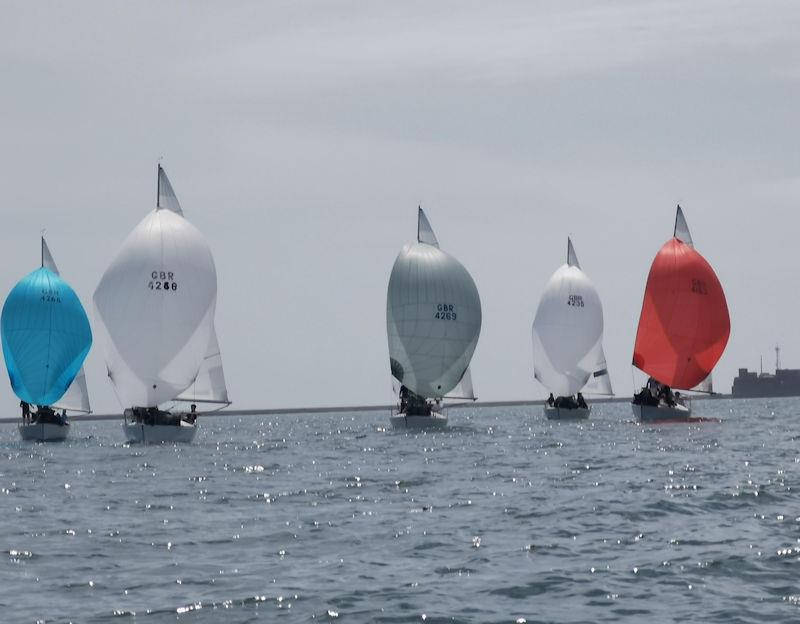 J/24 UK Nationals at Plymouth photo copyright Lorna Graham taken at Port of Plymouth Sailing Association and featuring the J/24 class