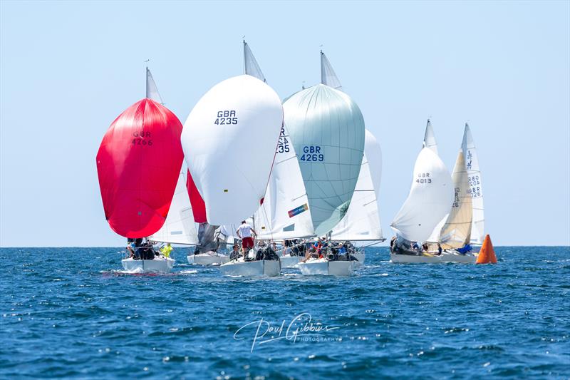 J24 UK Nationals at Plymouth Race Week photo copyright Paul Gibbins Photography taken at Royal Western Yacht Club, England and featuring the J/24 class