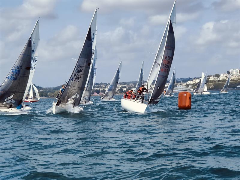 J/24s at the Torbay Royal Regatta 2024 - photo © Bob Penfold