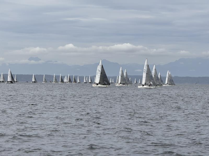 Racecourse action at the 2024 Beecher's Handmade Cheese J/24 World Championship photo copyright David Schmidt taken at Corinthian Yacht Club of Seattle and featuring the J/24 class