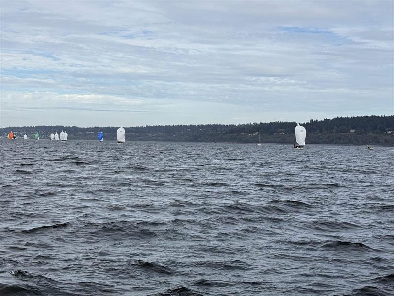 Travis Odenbach and his Honeybadger decisively won the final race of 2024 Beecher's Handmade Cheese J/24 World Championship photo copyright David Schmidt taken at Corinthian Yacht Club of Seattle and featuring the J/24 class