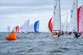 J/70 Corinthian US National Championship 2024 © Hannah Lee Noll