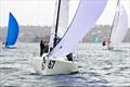 Thumbs up from Tim Ryan - NSW J/70 Championship 2024 © Nic Douglass for @sailorgirlHQ