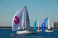 Davis Island J/70 Winter Series &copy; Christopher Howell