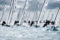 J/70 – forty-one teams contest the 9-race series - Bacardi Winter Series Event 2 © Hannah Lee Noll