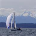 Boris Luchterhand and Ron Rosenberg on 'Riff', winner of the 2025 Pacific Northwest One Design (POD) in front of the Olympic Mountains © YachtRacing.tv