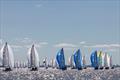 Downwind Buenos Aires - 2025 J/70 World Championship - Day 4 © Matias Capizzano