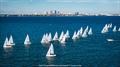 2025 J/70 North American Championship &copy; Hannah Lee Noll