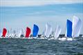 2025 J/70 North American Championship, day 3 &copy; Hannah Lee Noll