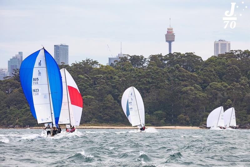 Great fleet of 14 boats - NSW J/70 Championship 2024 photo copyright Nic Douglass for @sailorgirlHQ taken at Royal Sydney Yacht Squadron and featuring the J70 class