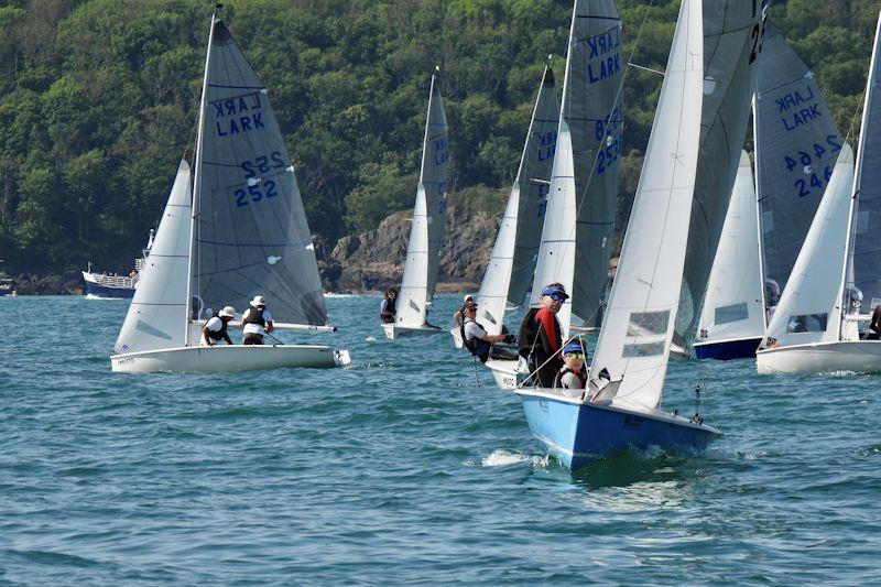 Musto Lark National Championship at Brixham day 1 - photo © Will Loy