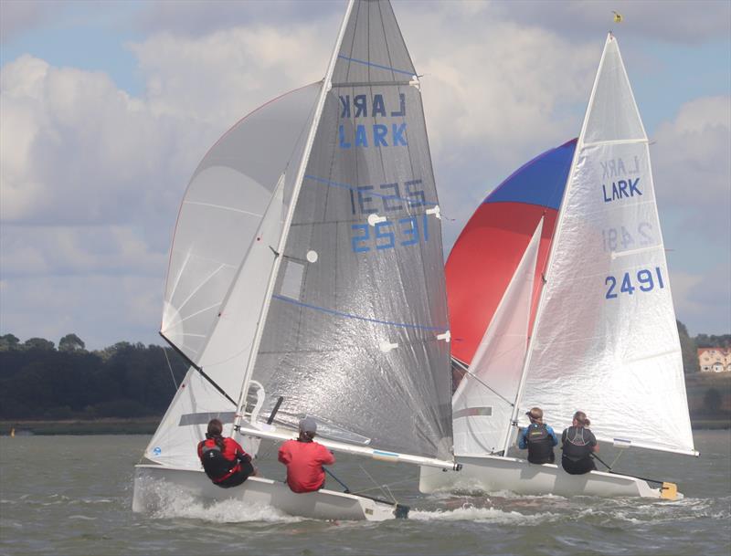 Waldringfield Sailing Club Cartoon Trophy 2024 photo copyright Alexis Smith taken at Waldringfield Sailing Club and featuring the Lark class