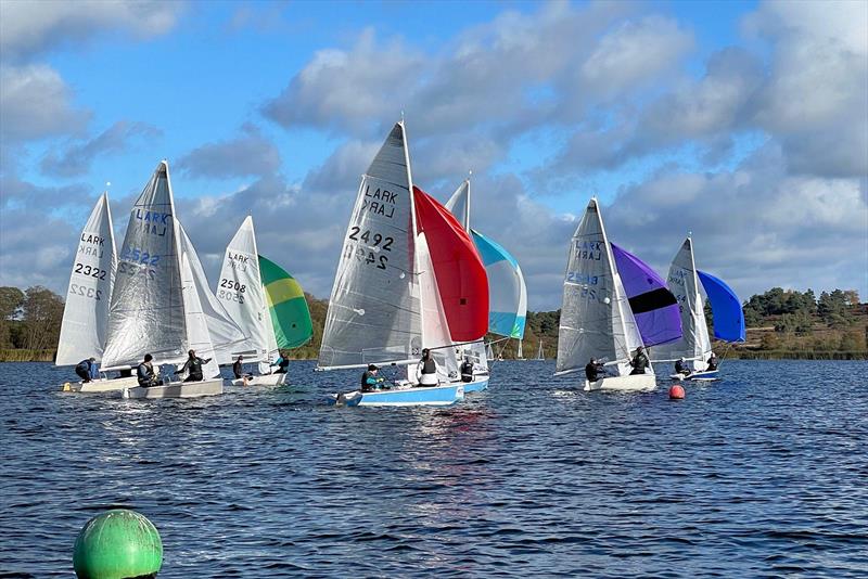 Craftinsure Lark Winter Championships at Frensham photo copyright Jonathan Inglesfield taken at Frensham Pond Sailing Club and featuring the Lark class