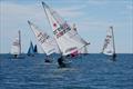 Carey Olsen Jersey Regatta 2024 - Class 8 - Liquid Logic - Martin Speller - winner Class 8 © Bill Harris