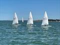 ILCA batttle during Race 5 of the Whitstable Yacht Club Club Championship 2025 © Steve Gray