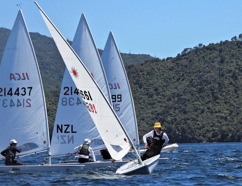 NZ ILCA National Championships - Day 3, Queen Charlotte Yacht Club, Picton - photo © Christel Hopkins