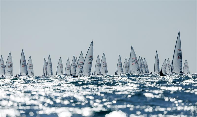 2024 ILCA 7 Men World Championship photo copyright Jack Fletcher / Down Under Sail taken at Adelaide Sailing Club and featuring the ILCA 7 class