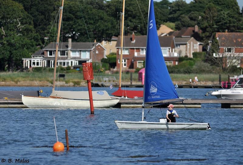 Ben Harris in the Hamble Community Sports College Regatta 2014 photo copyright Bertrand Mallas taken at Hamble River Sailing Club and featuring the Laser Pico class