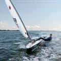 Winning ILCA sailor Matthew Board at the Bosham Regatta 2024 © Paul Adams / Harbour Images