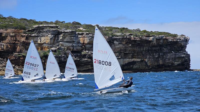 Australian ILCA6 Squad and Futures Program Training in Sydney - photo © Australian Sailing Team