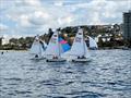 Manly Juniors at Manly 16ft Skiff Sailing Club © SailMedia