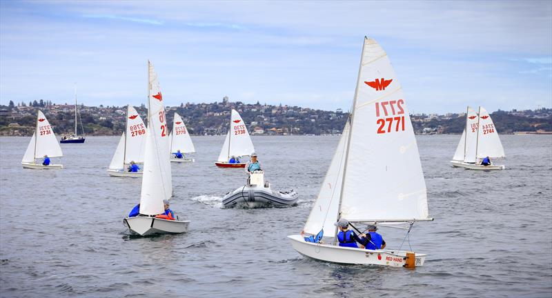 Manly Juniors at Manly 16ft Skiff Sailing Club photo copyright SailMedia taken at Manly 16ft Skiff Sailing Club and featuring the Manly Junior class