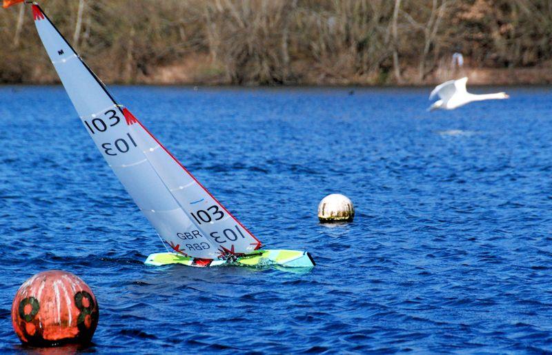 Barrie Martin 103 flying along with a swan - M&S District Marblehead Championship and GAMES event at Three Rivers photo copyright Gillian Pearson taken at Three Rivers Radio Yachting Club and featuring the Marblehead class