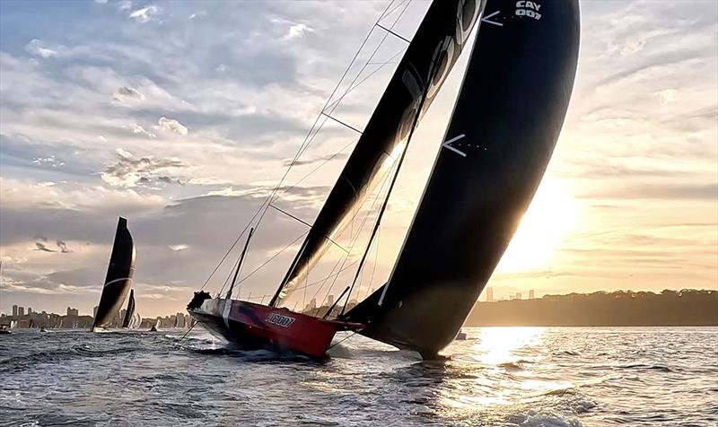 andoo Comanche leads the fleet down the Harbour - photo © Bow Caddy Media