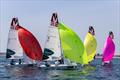 Lusíadas Saúde Porto Sailing and Portuguese women's sailing championship © BBDouro Nautical Experiences