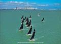 Melges 24: Big breeze racing against the striking Miami backdrop - 2023 Bacardi Winter Series Event 1 © Hannah Lee Noll