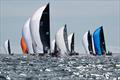 2025 US Melges 24 National Championship © Anna Suslova / US Melges 24 Class Association