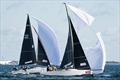 2025 US Melges 24 National Championship © Anna Suslova / US Melges 24 Class Association