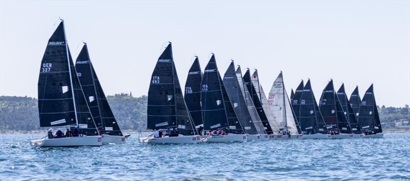 Melges 24 European Sailing Series 2024 - Portoroz, Slovenia  - 2024 Marina Portoroz Melges 24 Regatta - photo © IM24CA / Zerogradinord