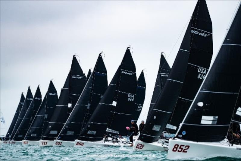 Melges 24 - ‘Melgina' executes a perfect pin end start - Bacardi Winter Series Event 2 - photo © Hannah Lee Noll