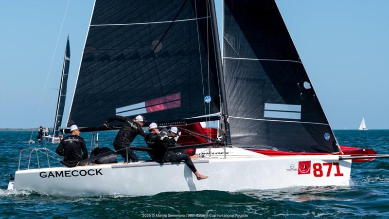 GAMECOCK (USA871) by Peter McClennen - Bacardi Cup Invitational Regatta 2025 - photo © Marina Semenova