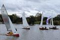 Merlin Rocket DeMay and Thames Series at Hampton © Emma Bunner