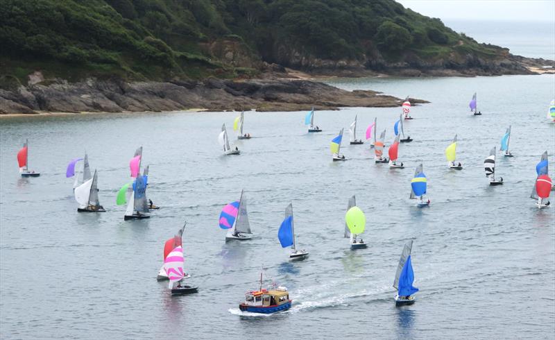 Salcombe Gin Merlin Week 2024 Day 4 Morning Race - photo © Malcolm Mackley