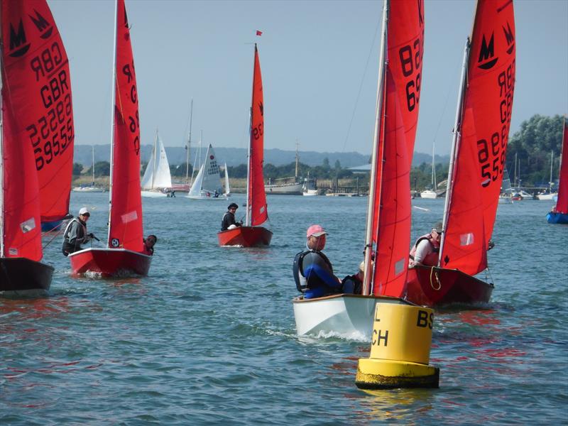 Mirror fleet soon after start with winner Dan Dixon leading at Blackwater SC Club Week 2016 - photo © Chris Nicholls