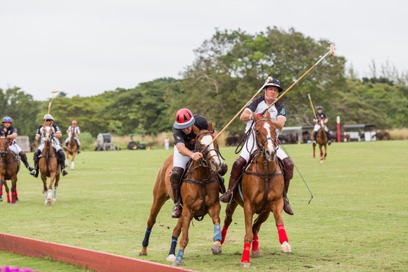 Lay day polo match at Holders, St James during the Mount Gay Round