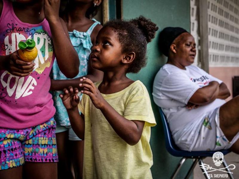 A young survivor of Hurricane Maria - photo © Sea Shepherd / Katrin York