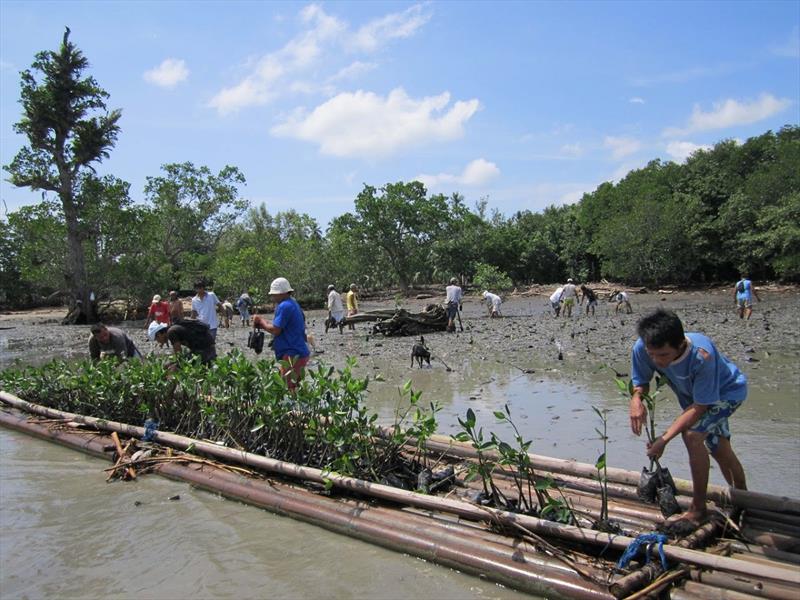 Boris Herrmann started a mangrove reforestation project in the Philippines together with the German-Philippine environmental organization Mama Earth Foundation photo copyright Holly Cova taken at 