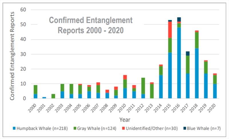 The number of confirmed entanglements by species reported to the West Coast Region each year from 2000 to 2020. - photo © NOAA Fisheries