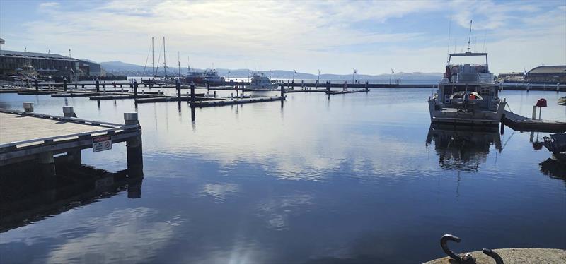 ConstitutionDock early on Dec 27, 2022, but it could have been any time of day - photo © Clayton Reading