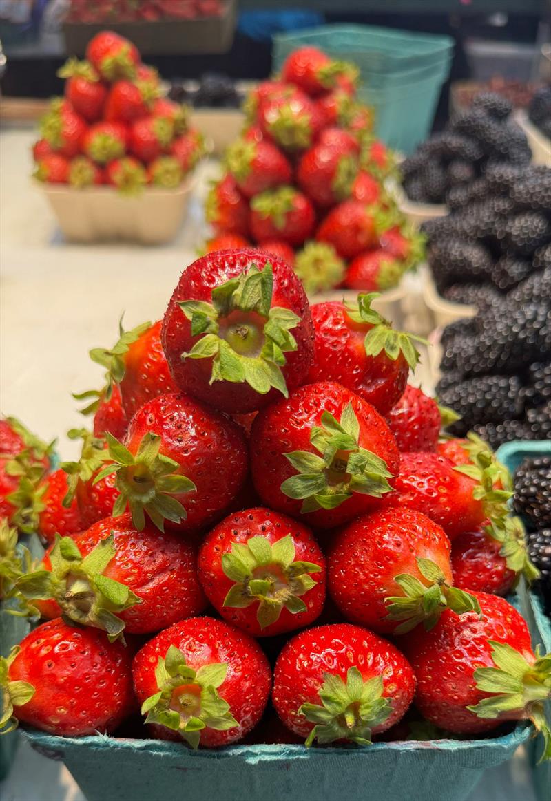 The strawberries from the Refuge Cove general store - photo © Riviera Australia